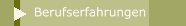 Berufserfahrungen