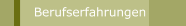 Berufserfahrungen